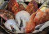 Edible Fish: Everything you need to know about them