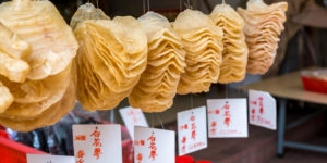 totoaba fish: the totoaba swim bladder sales in China