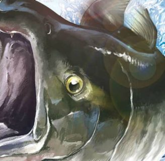 Freshwater Fish: Characteristics, types…. habitat and more…